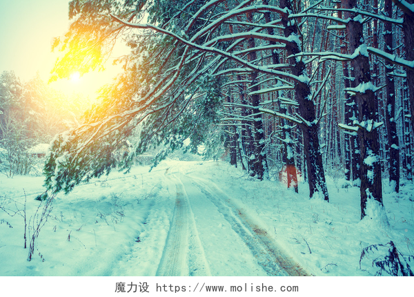 白雪覆盖的森林和道路农村冬季风景